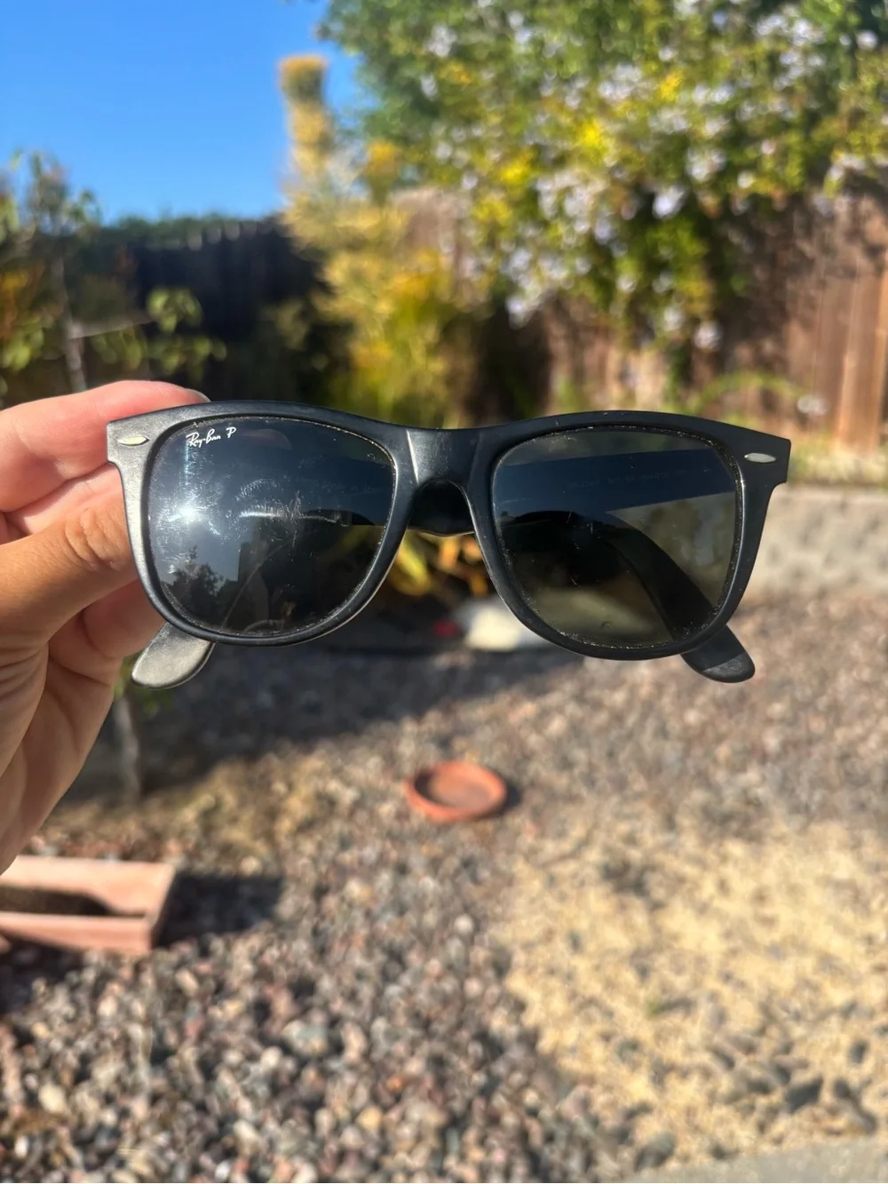 Sunglasses